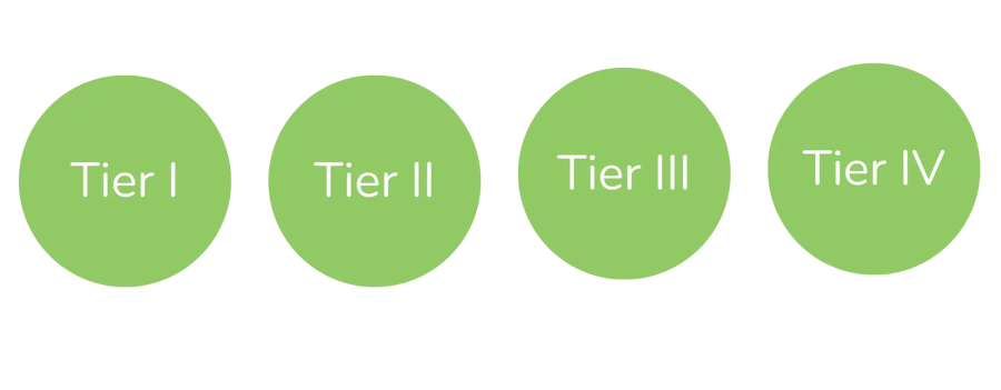 Data Center Tier Standard-2